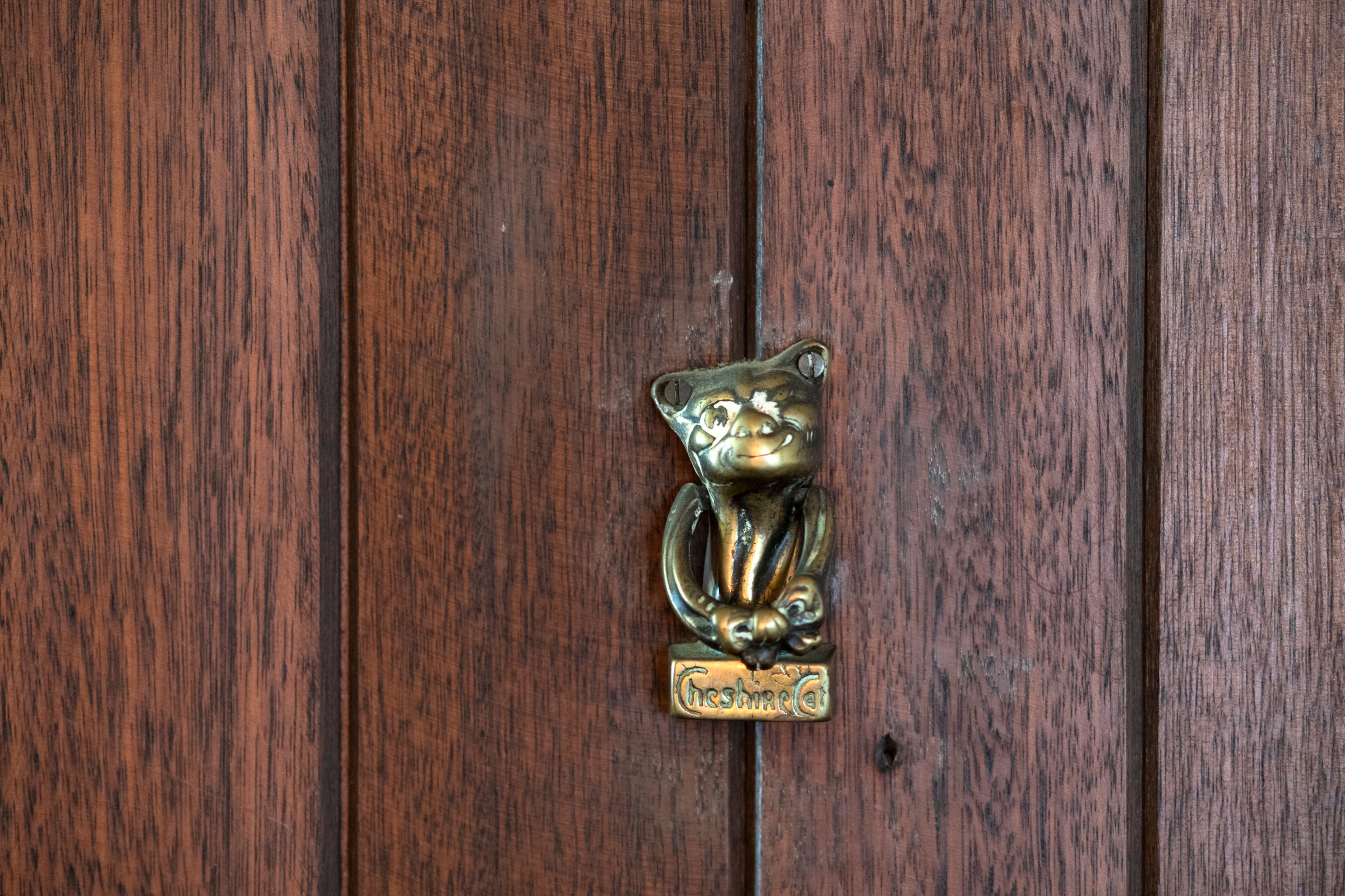 Waller House brass cheshire cat door knocker