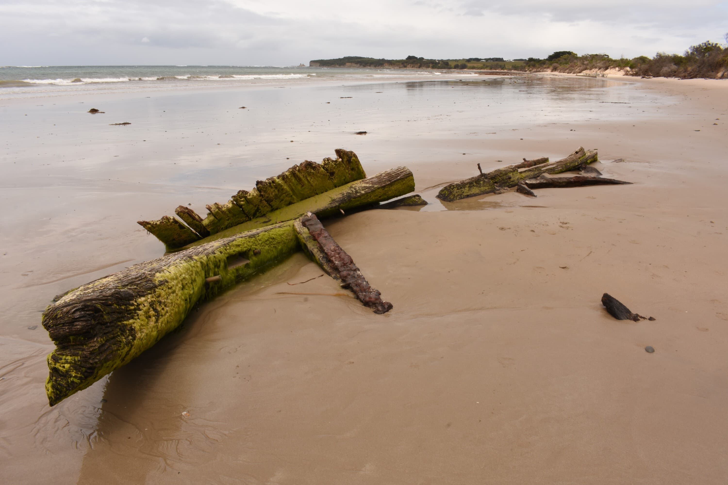 The Amazon Shipwreck on beach
